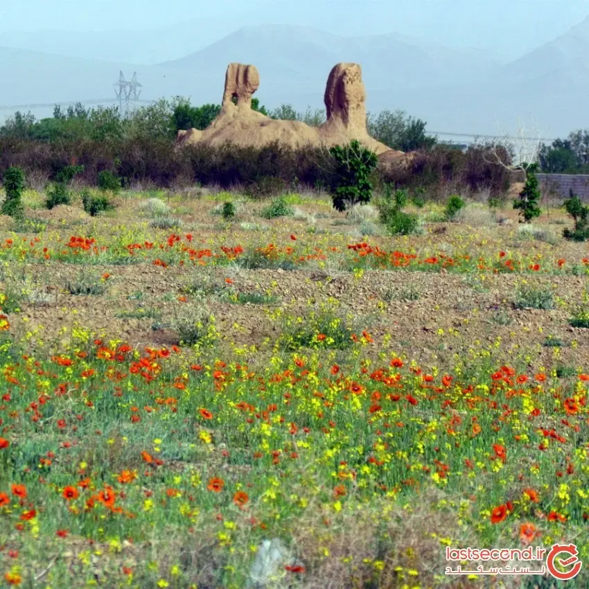 زمین تجاری با پروانه