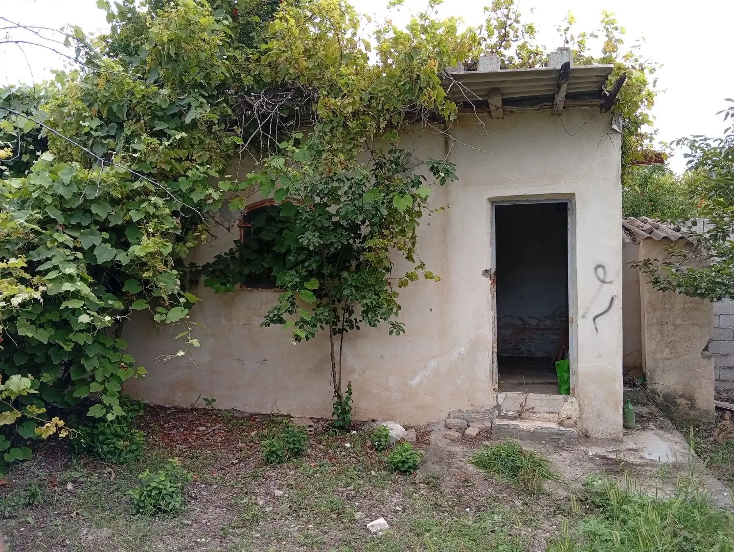 زمین مسکونی