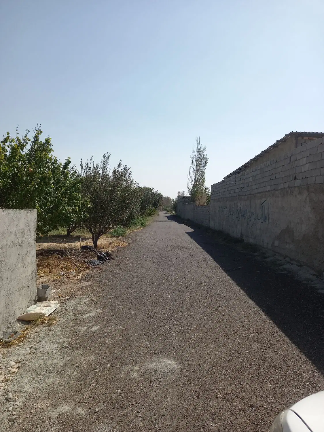 باغ۳۰۰ متری