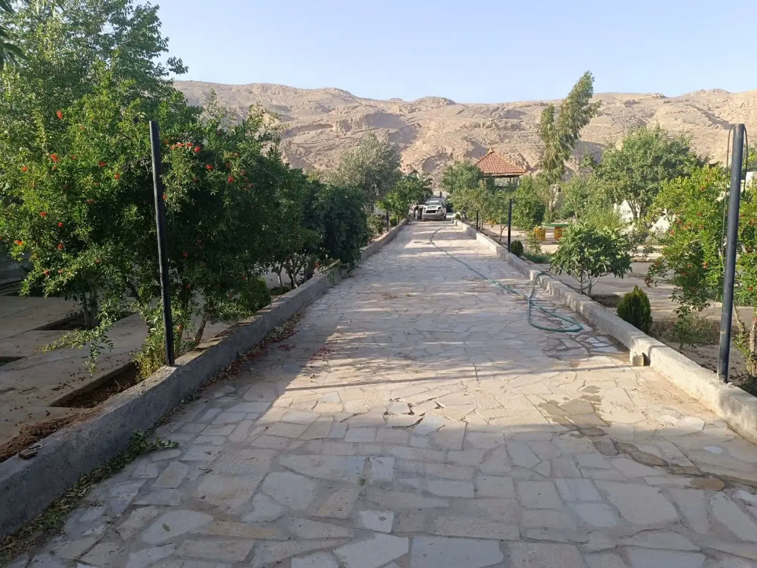 باغ تربرجعفری