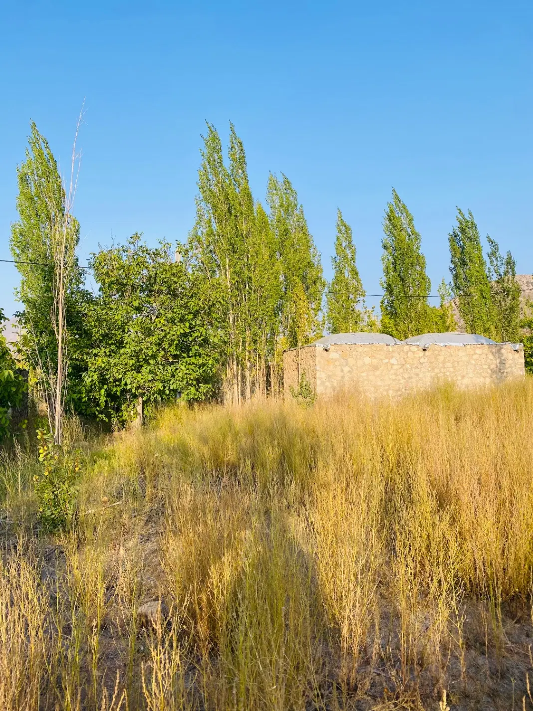 زمین سربیژن