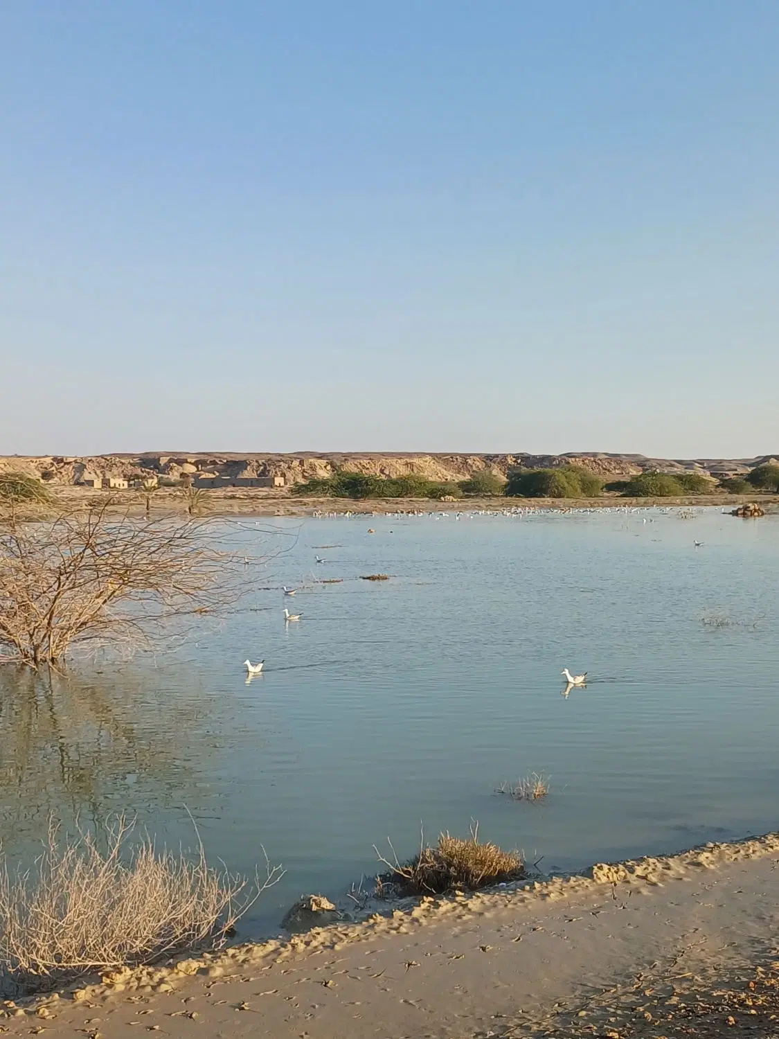 فروش زمین