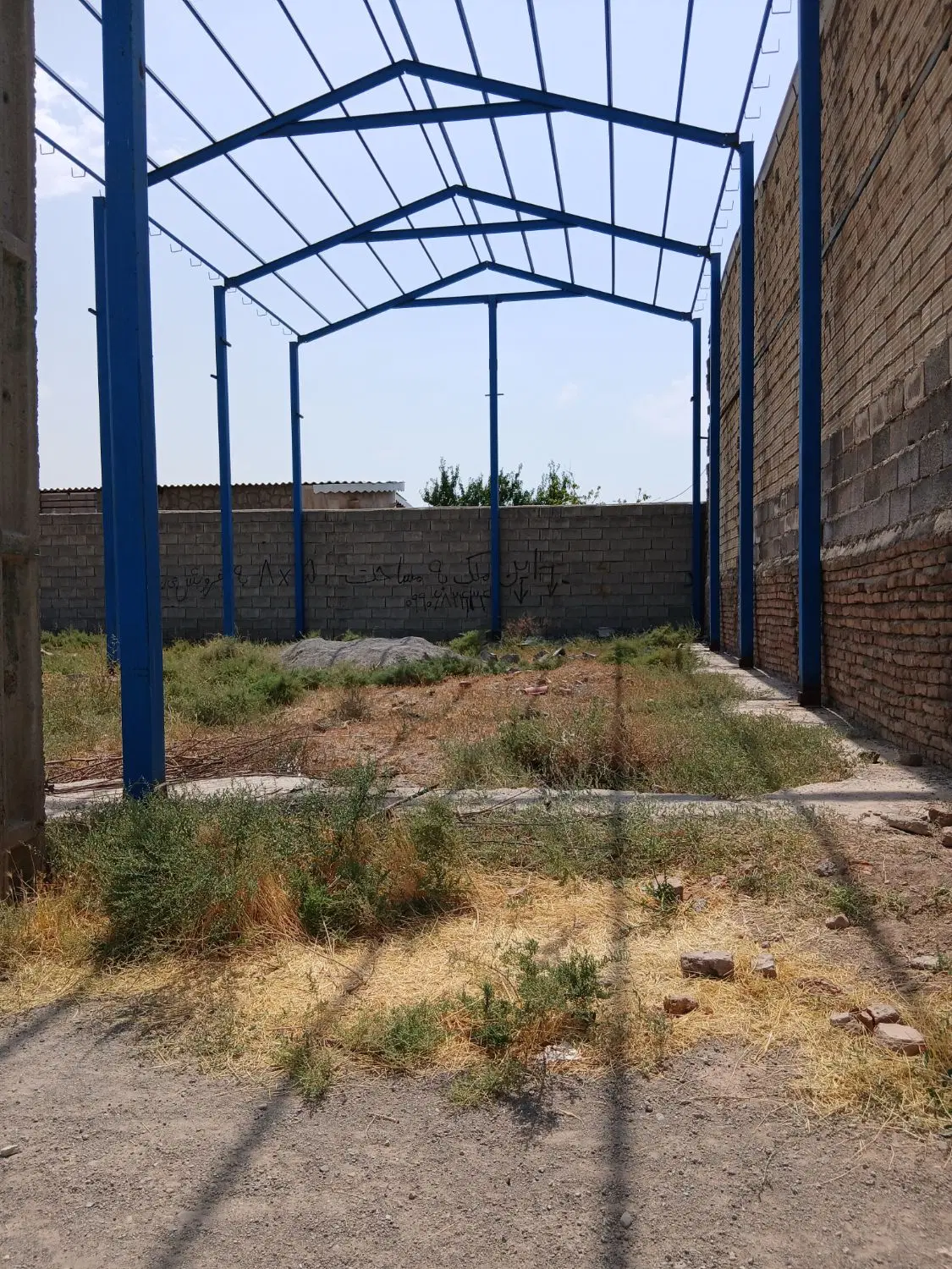 باغمعروف سالن
