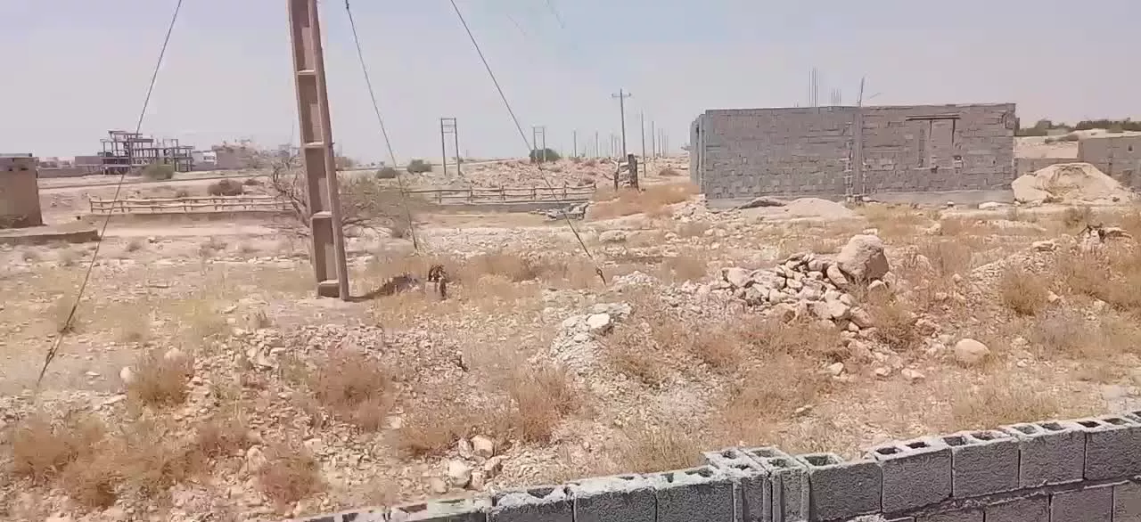 فروش زمین