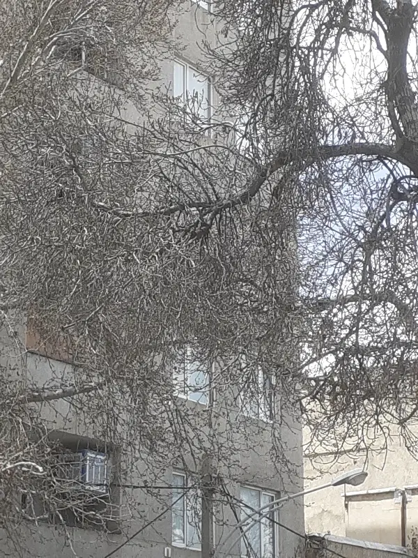 ویلایی قدیمی