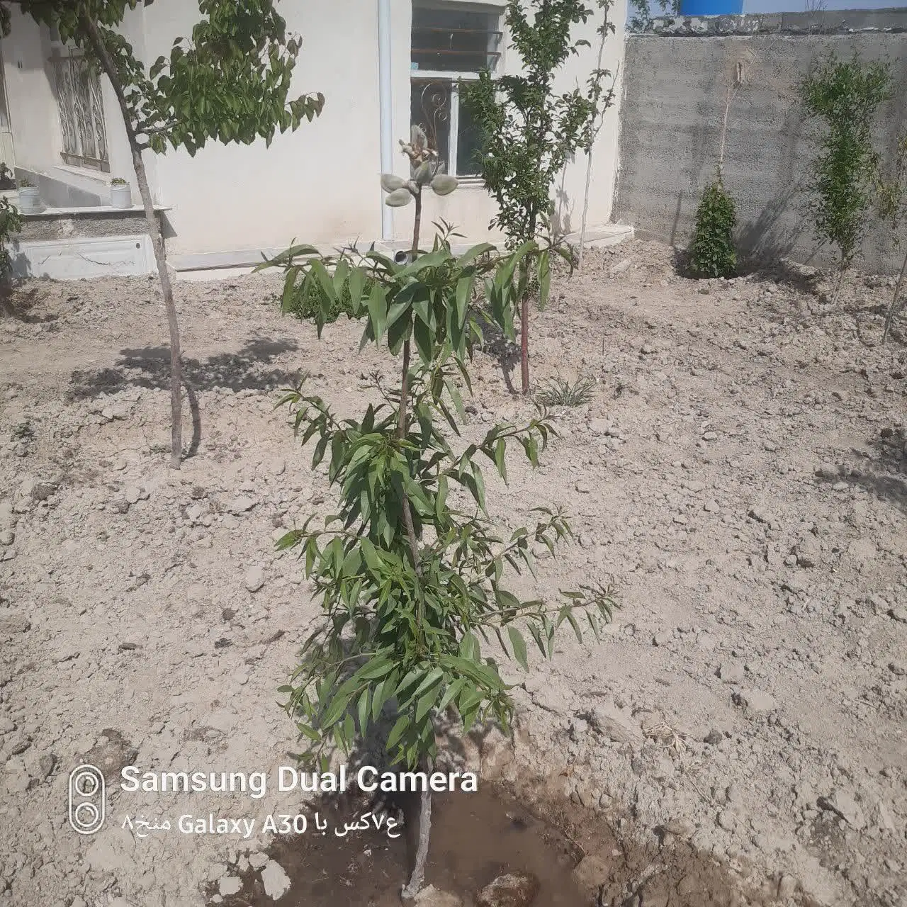 باغ ۳۵۰متر