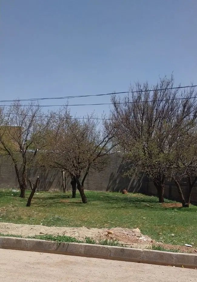 زمین مسکونی
