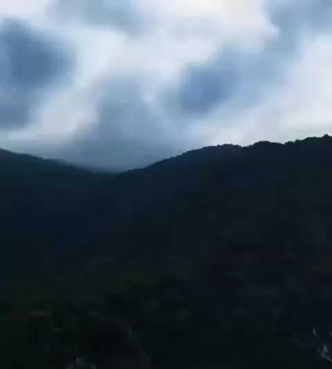 چلک  * شهرک برند * ۸۰۰ متر زمین * پلاک صفر جنگل