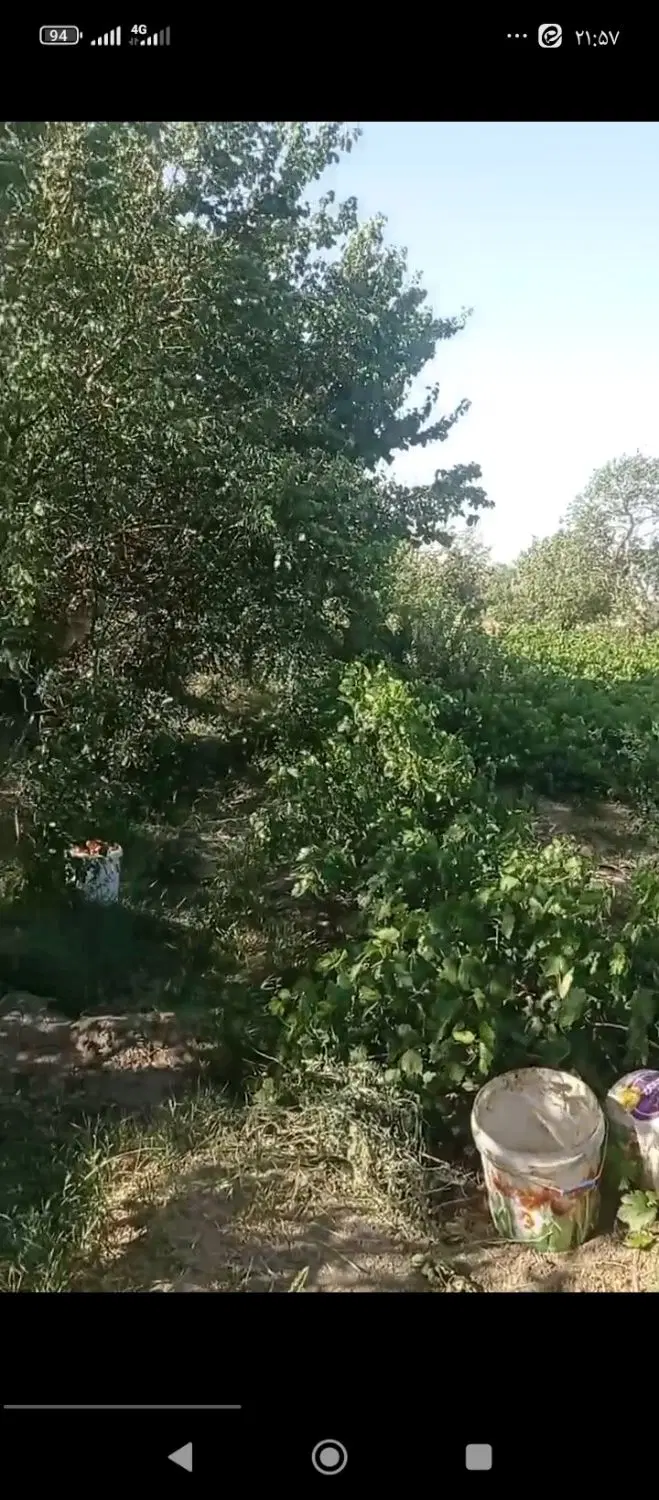 فروش باغ