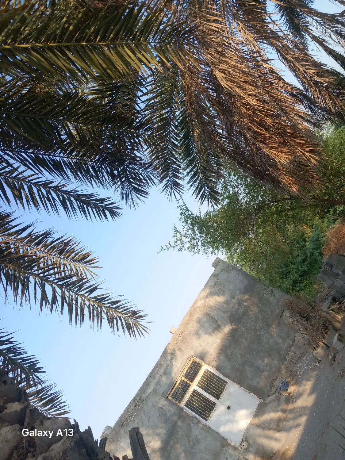 فروش خانه در نخل ابراهیمی
