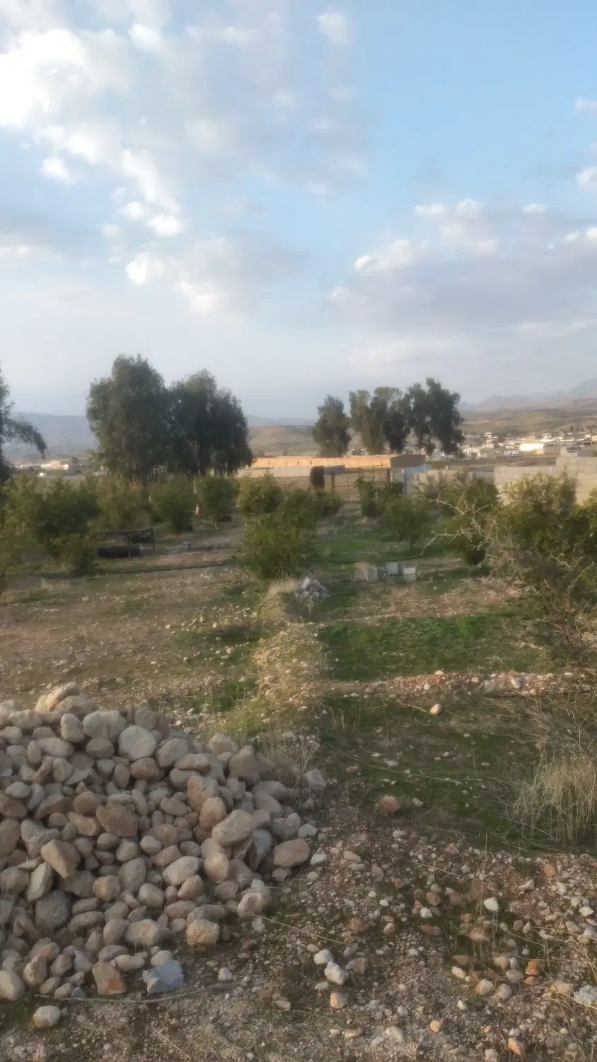 باغ دیوار کشی ۱۴۰۰ متر زمین