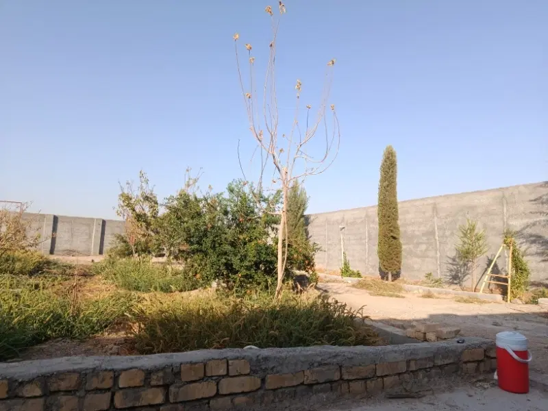 باغ نیمه کاره