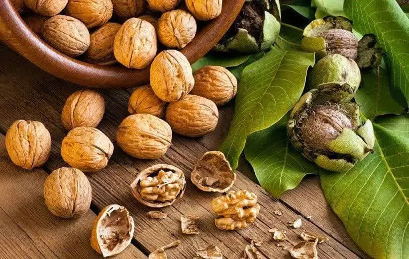 ۳۰ قصب زمین بزنجان