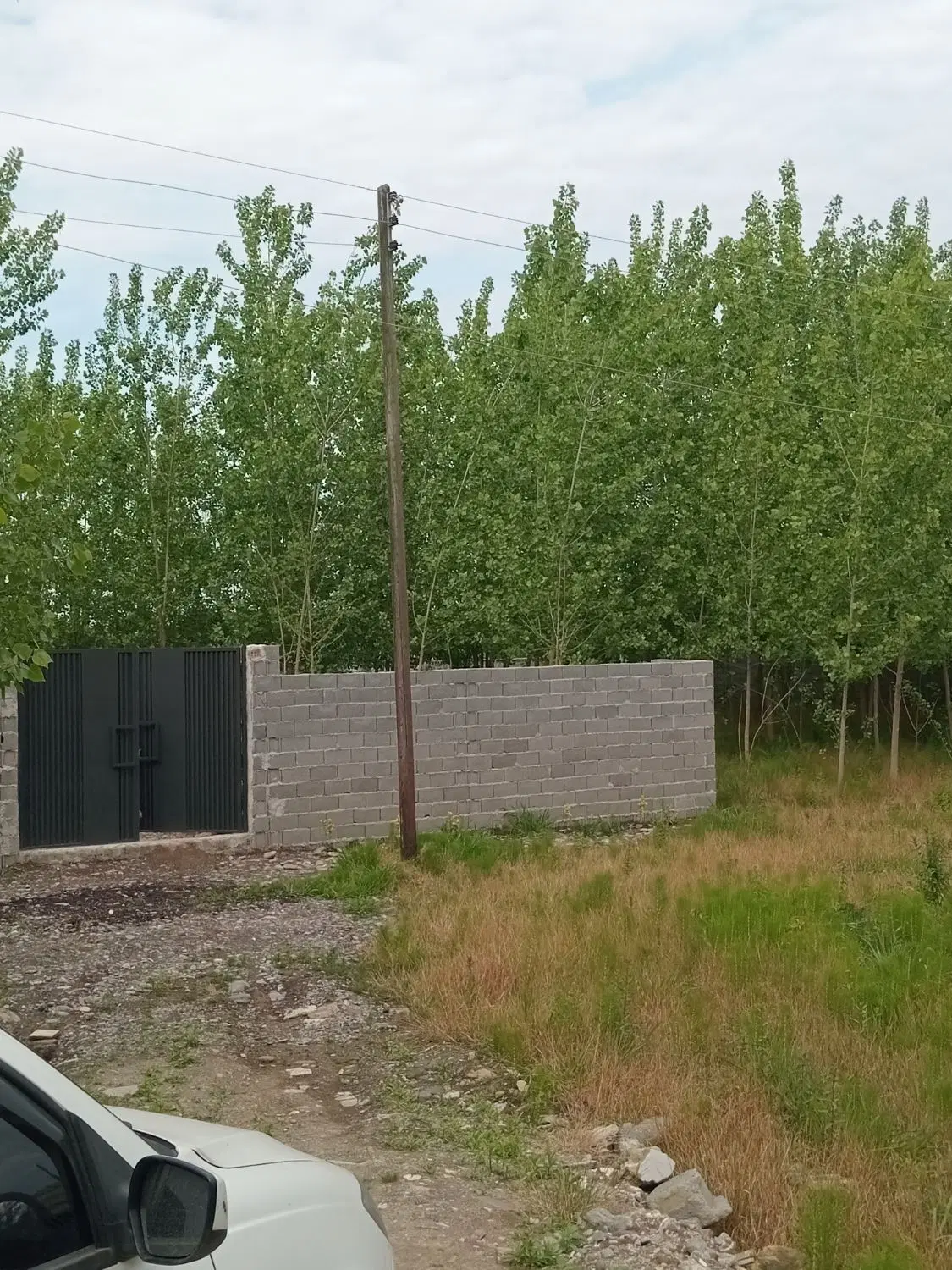 زمینی به مساحت ۳۷۹ متر با بر ۱۶ متر در رشت دارسازی
