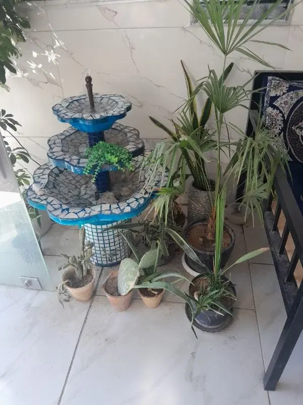 لوازم چایخانه