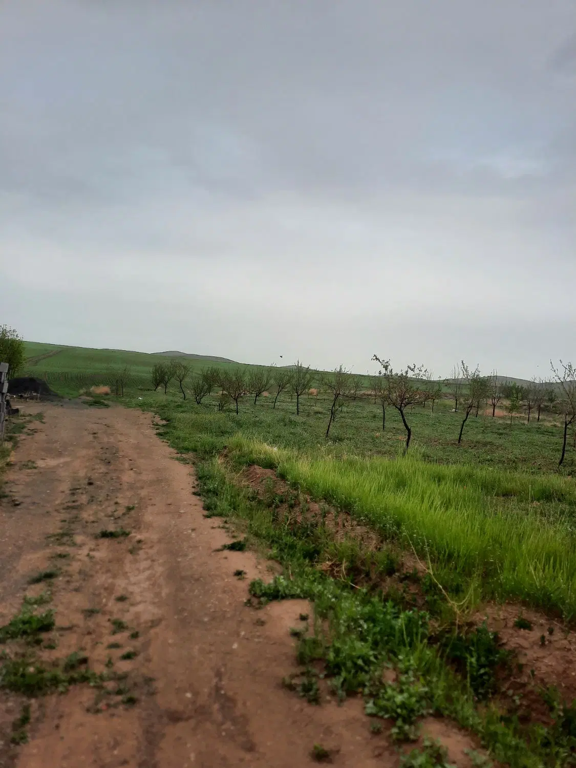 روستای نوازن زمین باغی