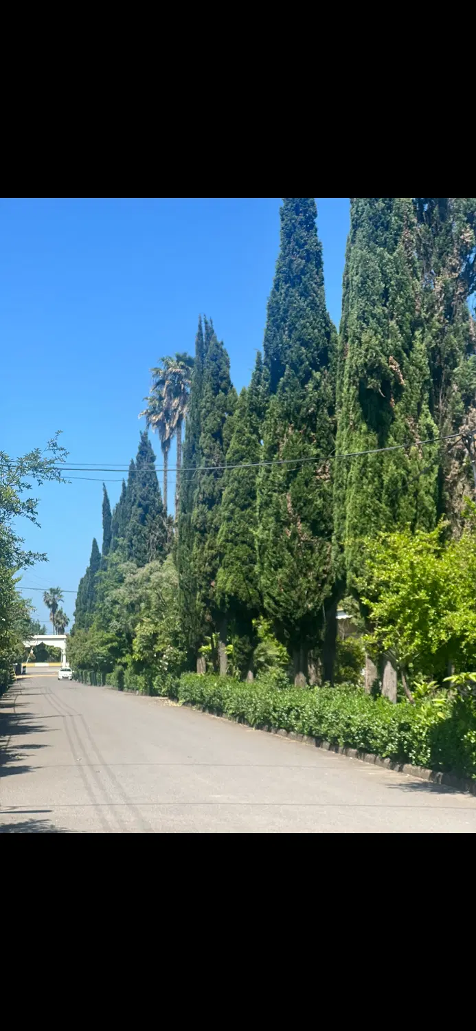 زمین رامسر داخل شهرک نیلگون