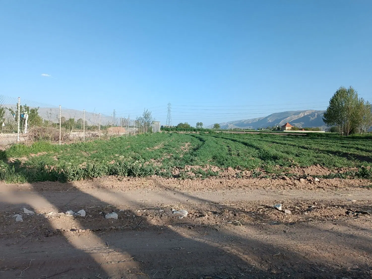 فروش زمین باغ شهری