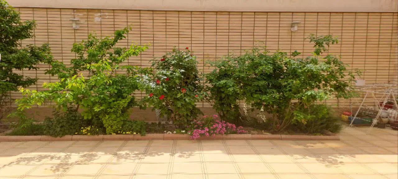 اجاره اپارتمان