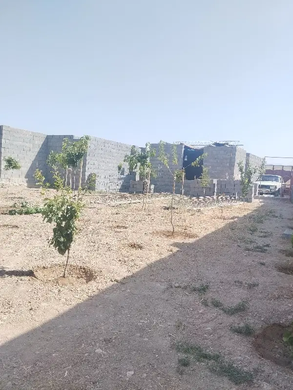 نیازمند قالبند