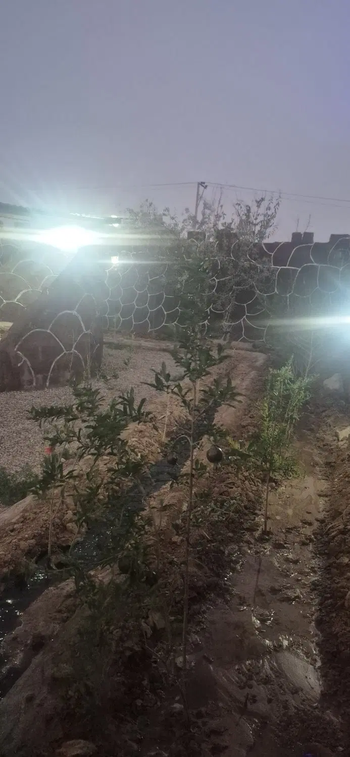 باغ فروشی