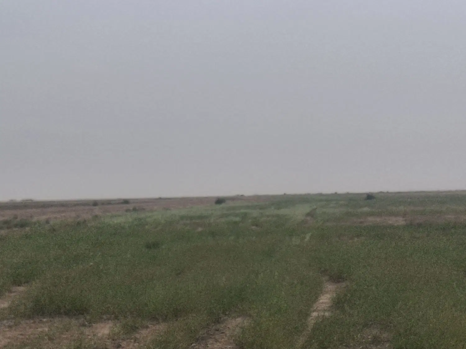 اجاره زمین کشاورزی