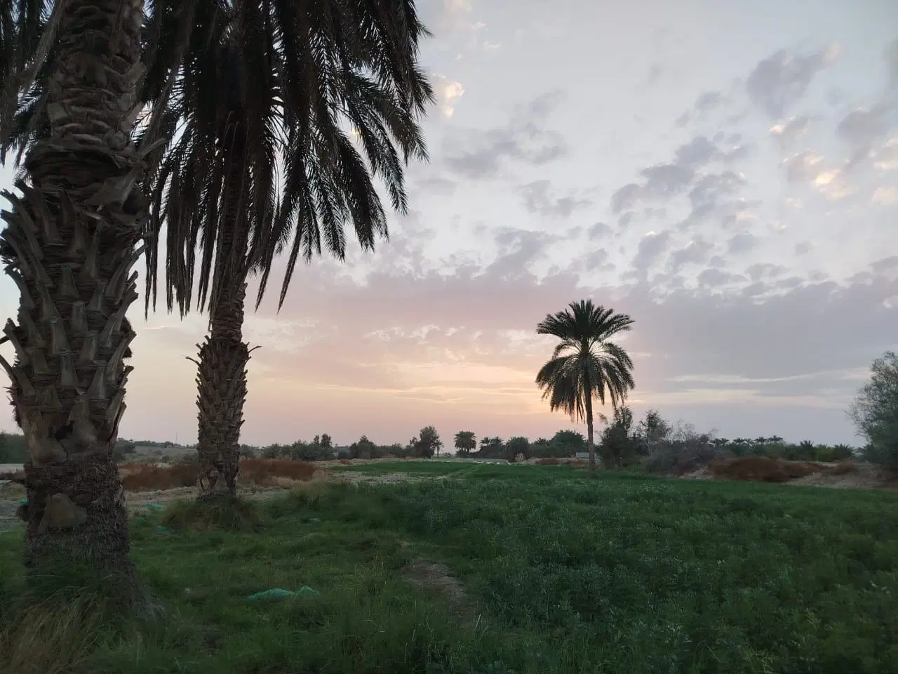 زمین سفیدک دوربن