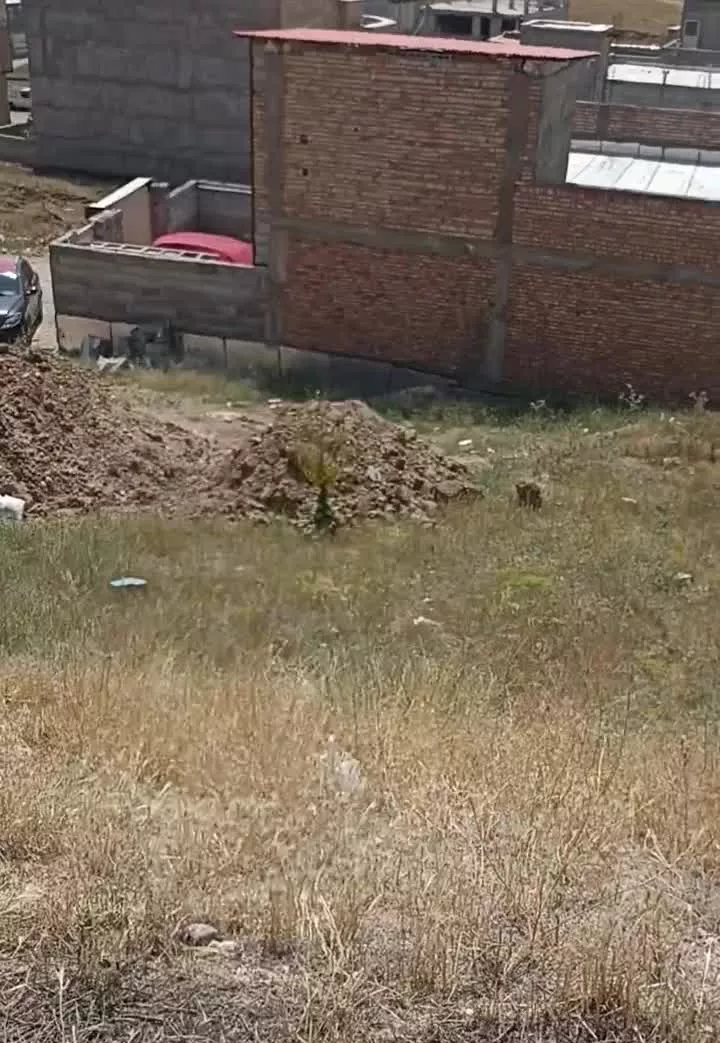 زمین تجاری