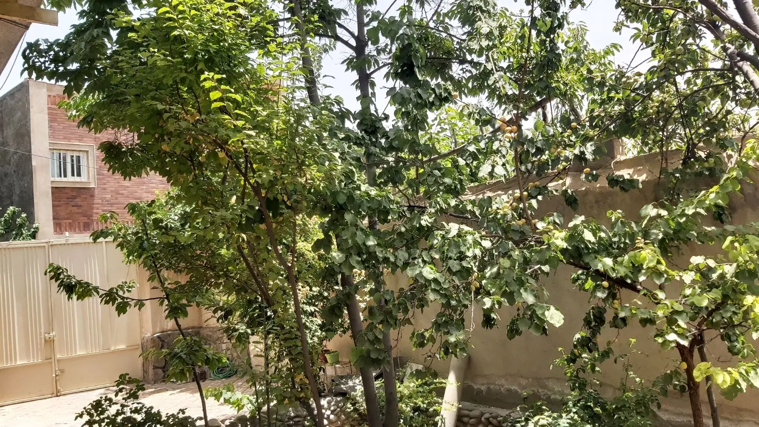 فروش وبلا نوساز کوهپایه