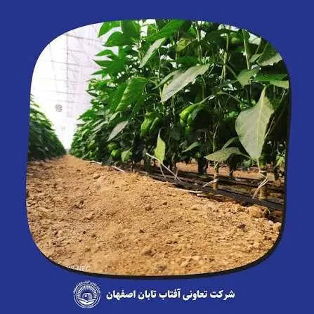 فروش سهام تعاونی آفتاب تابان اصفهان