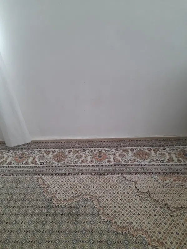 منزل اجاره ای حاجی آباد همکف