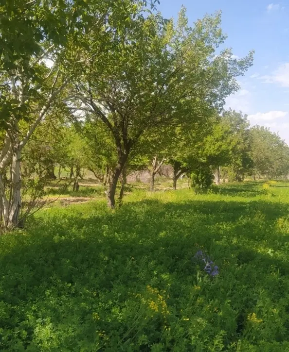 ۱۳۰۰ متر ویلا فلت ، فاز یک،شهرک خانه تهران (پرندک)
