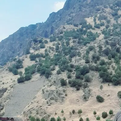 مسکونی
