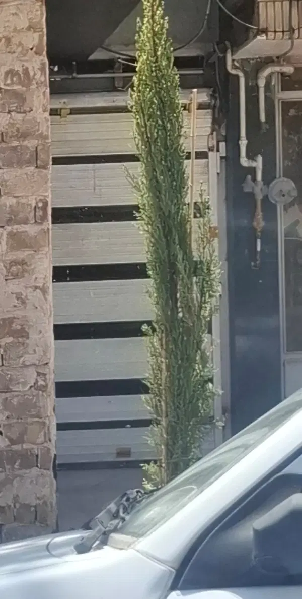 مغازه شهیدبهشتی 12