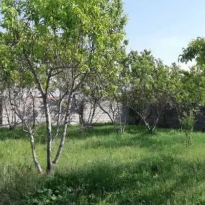 فروش زمین