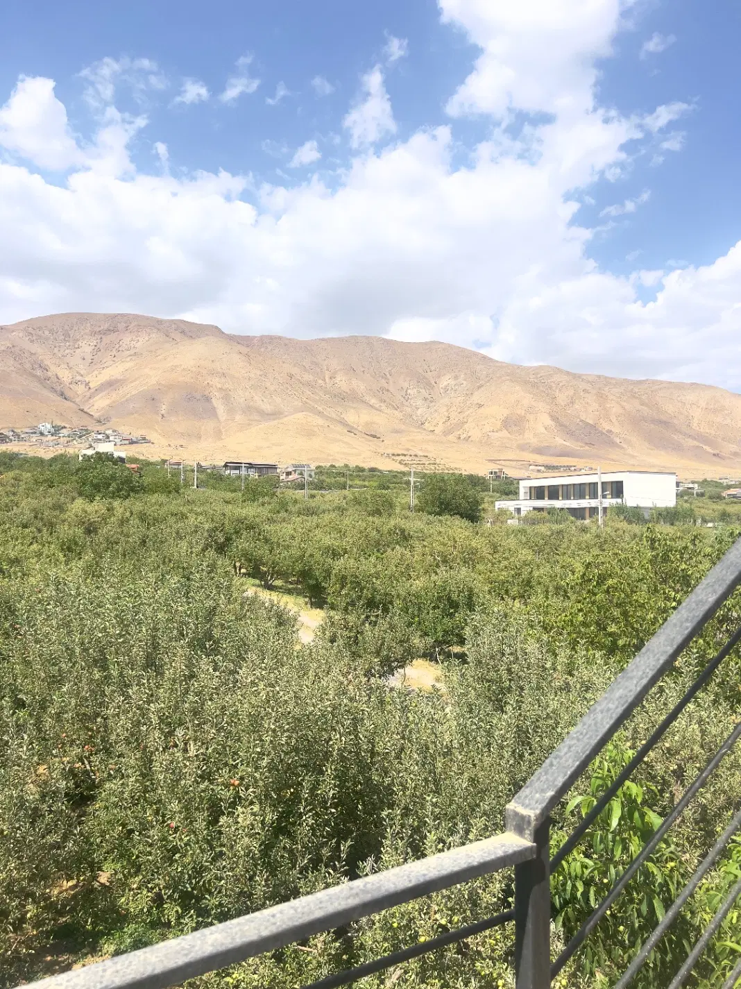 فروش زمین در جابان دماوند