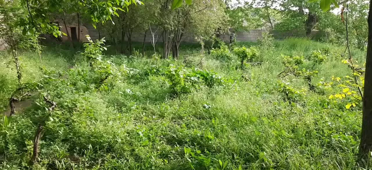 باغ دستجرد طینوج