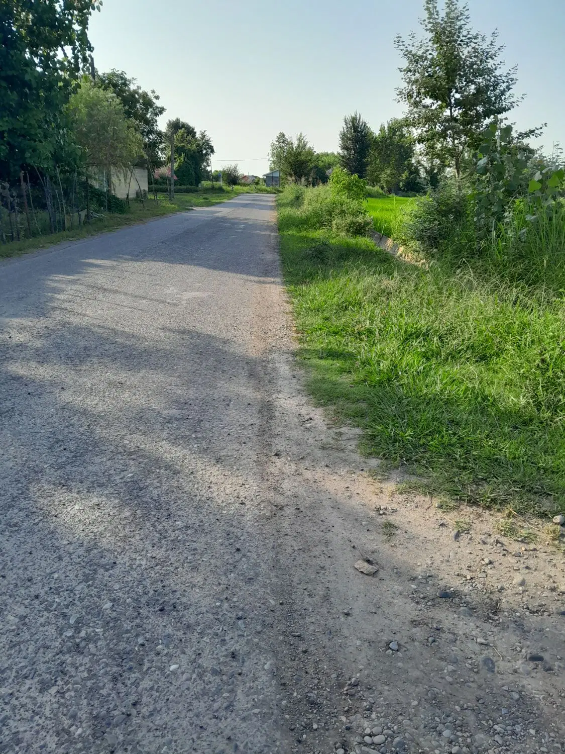دوازده هزار متر خانه محوطه تهاتر