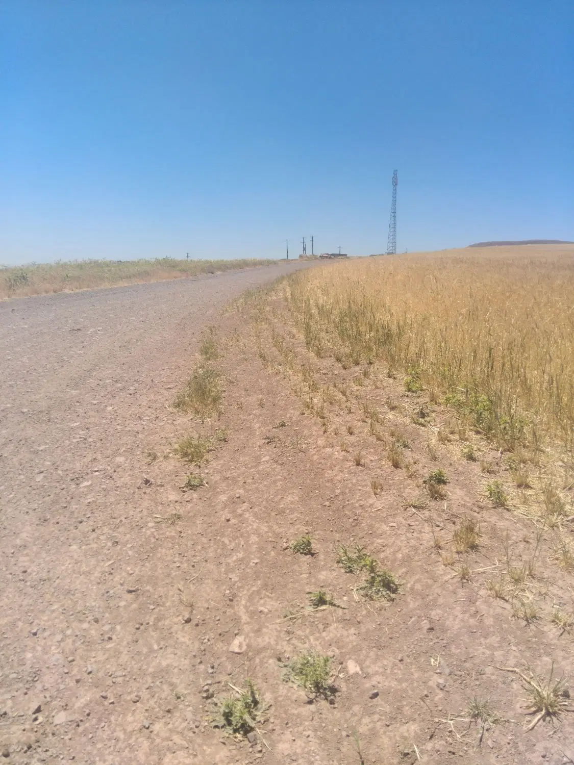 زمین برا اجاره