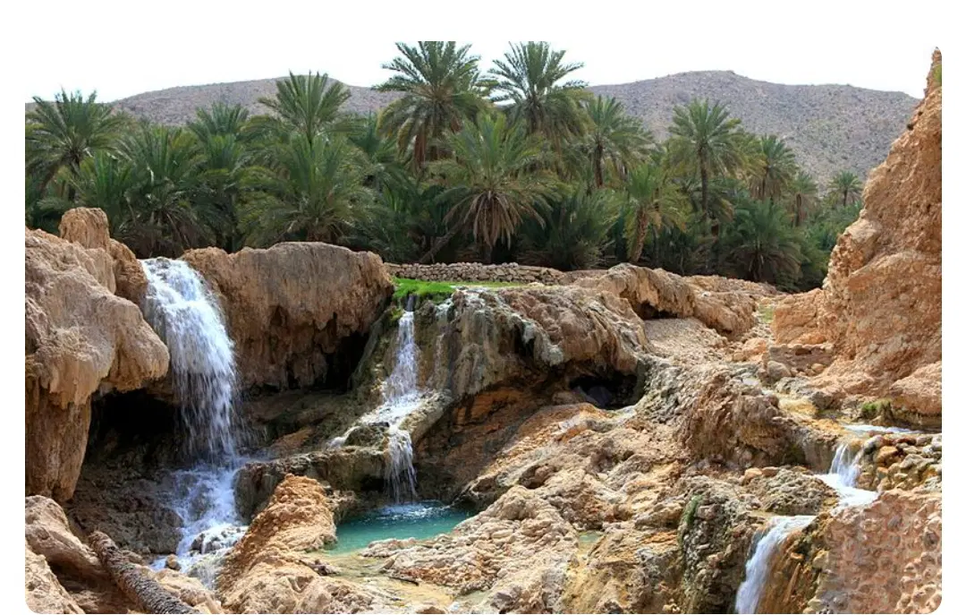 فروش زمین