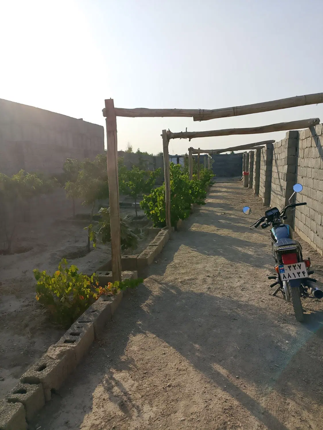 باغچه 240متری