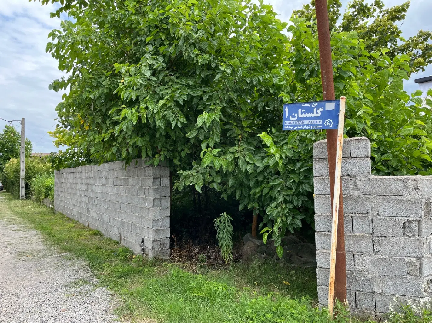 زمین
