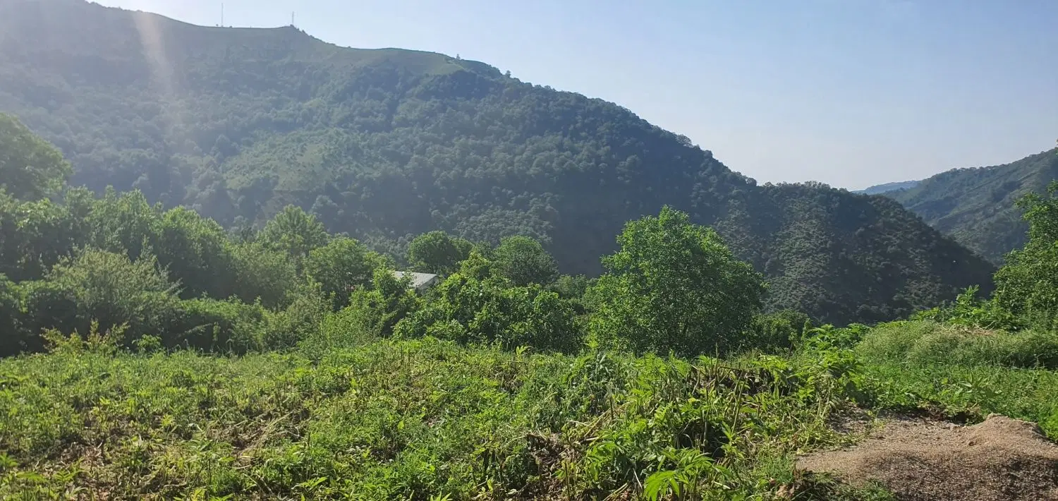 زمین ۲۹۱متر