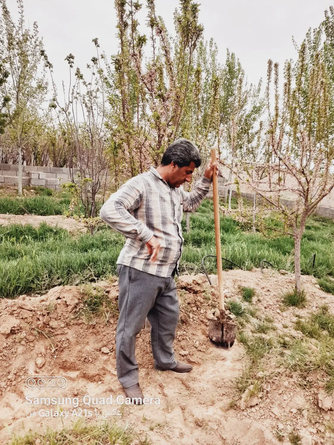 باغچه ۴۰۰متری