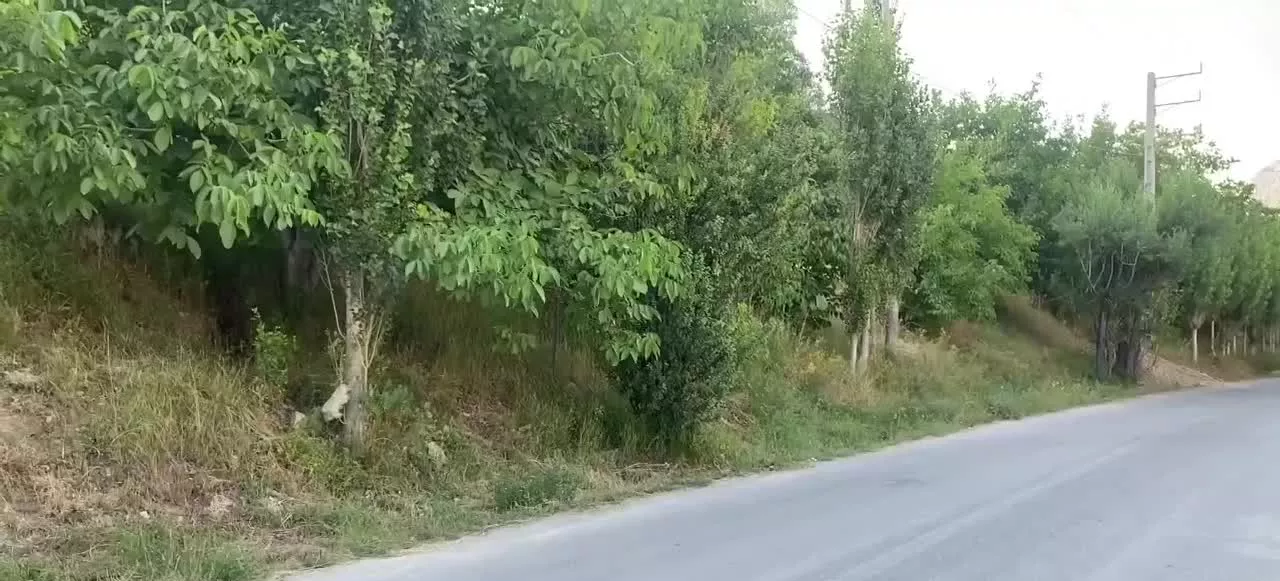 باغ سند دار بر اصلی جاده تنگه واشی فیروزکوه