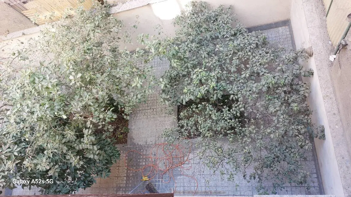 رهن و  اجاره آپارتمان 48 متری