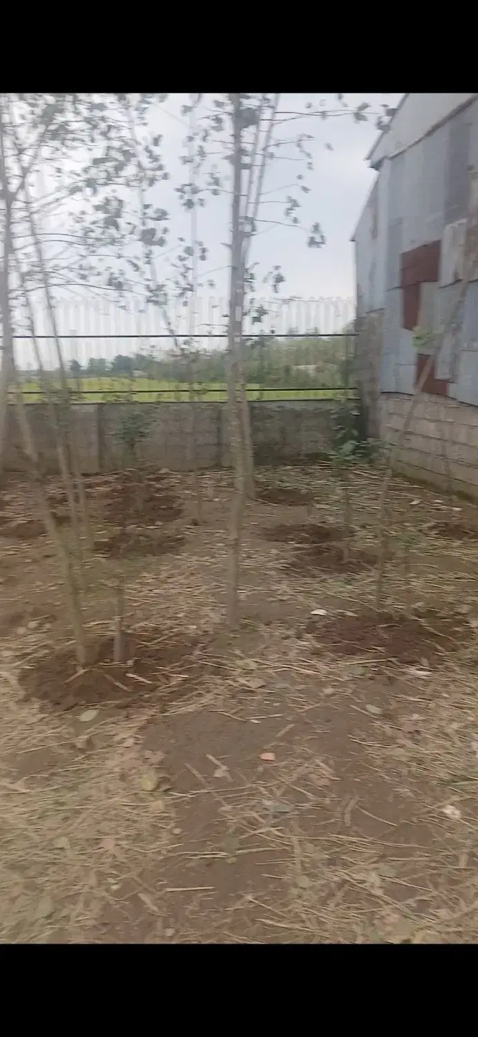 زمین مسکونی سنددار 160. مترمربع دررشت منطقه 4