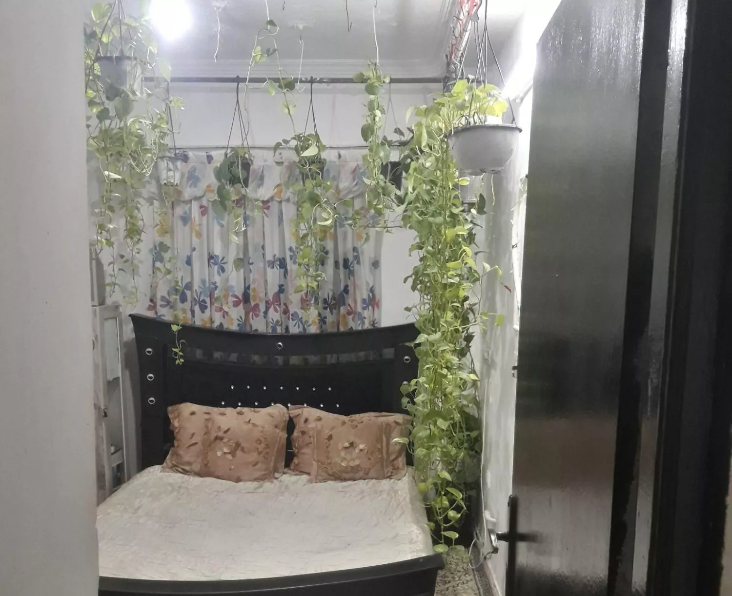 اجاره روزانه سوییت درشهرامل فول امکانات