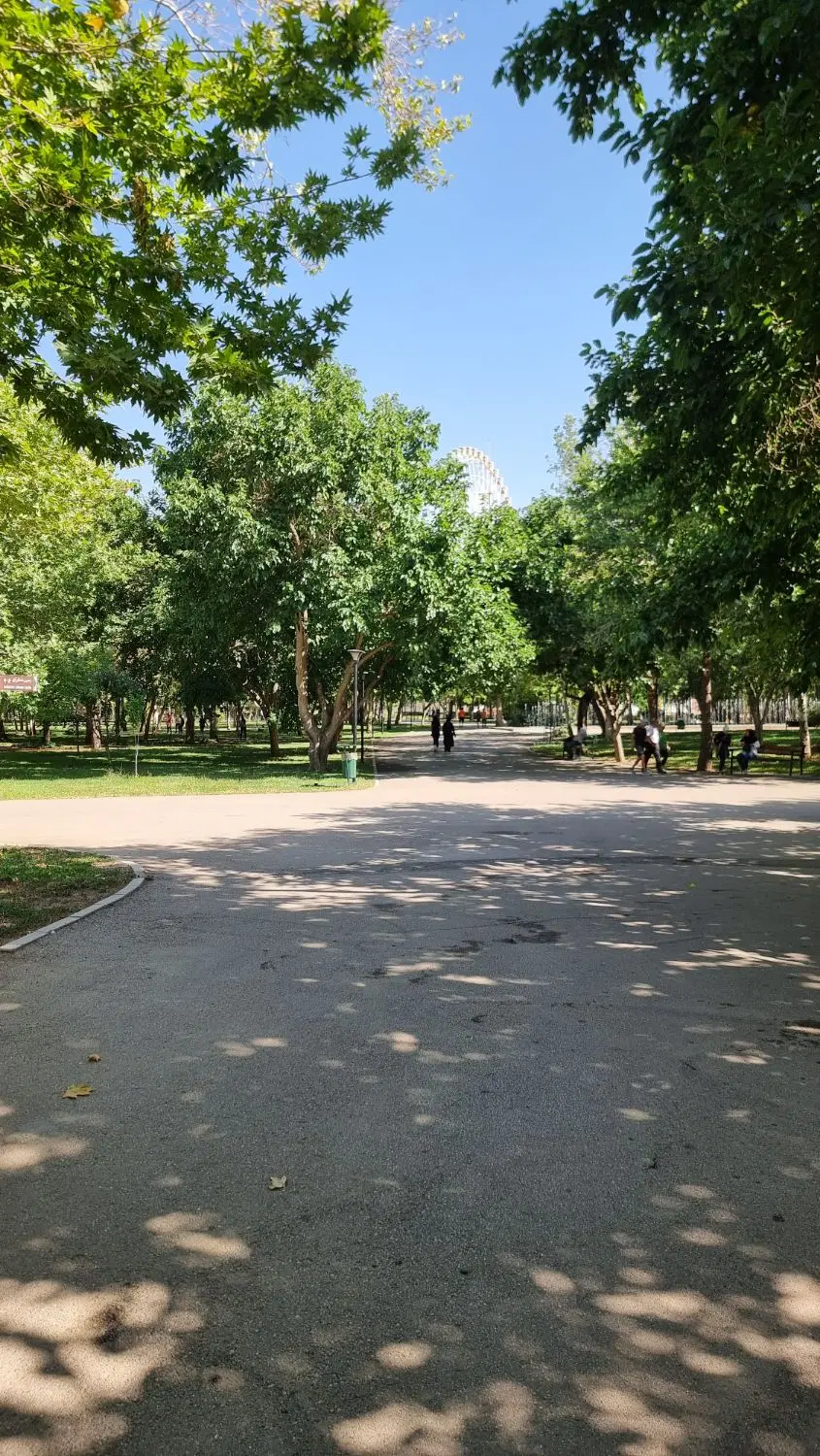 همخونه میخام ۲۴ سالمه و خونه ندارم