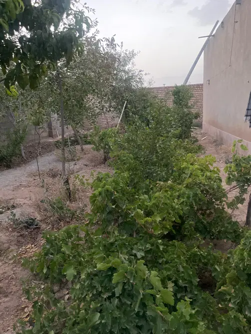 خانه ویلایی